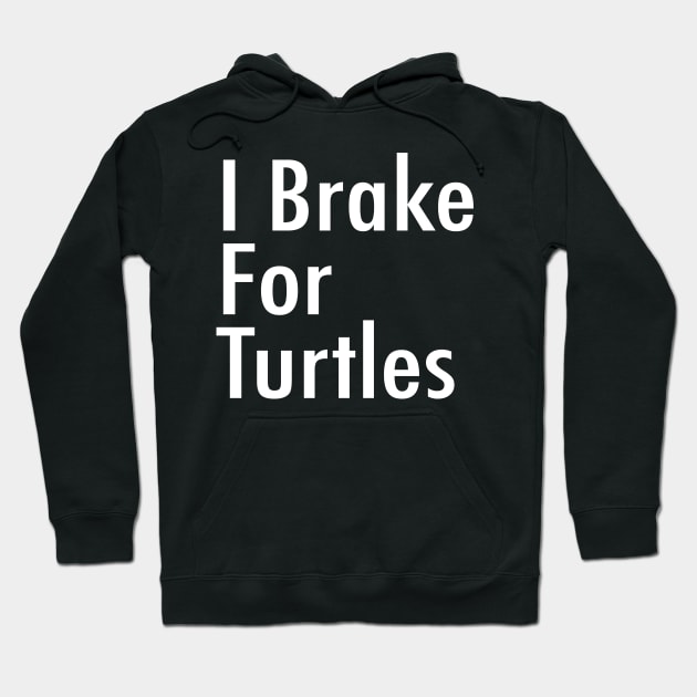 I Brake For Turtles Hoodie by DesignDLW